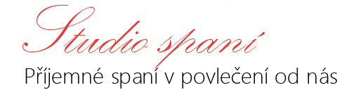 Studio spaní