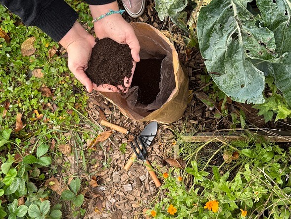 Jesenné hnojivo: Prečo je dôležité a ako pripraviť pôdu na ďalší rok.