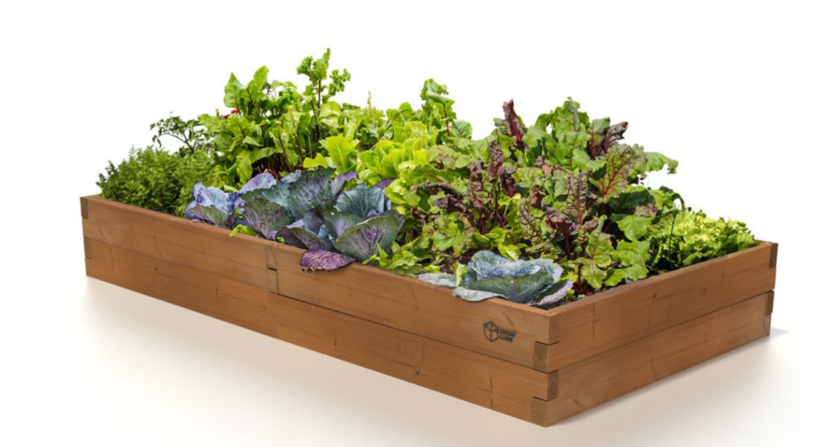 VYVÝŠENÝ ZÁHON GROW CUBE THERMO BOROVICA S