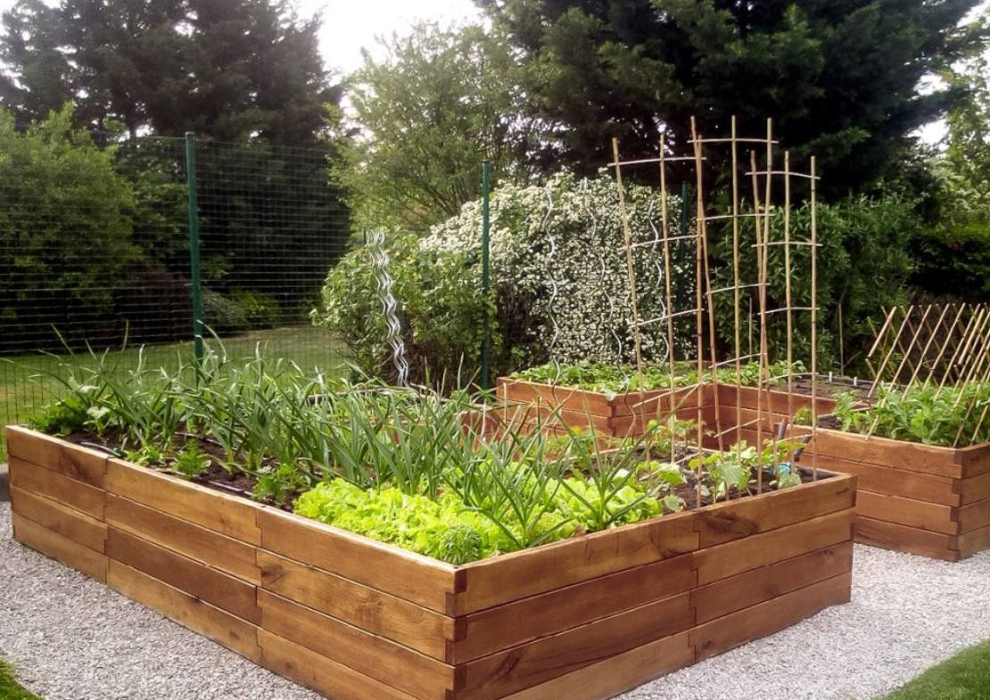 VYVÝŠENÝ ZÁHON GROW CUBE THERMO BOROVICA U-SHAPE