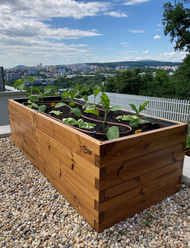 VYVÝŠENÝ ZÁHON GROW CUBE THERMO BOROVICA L