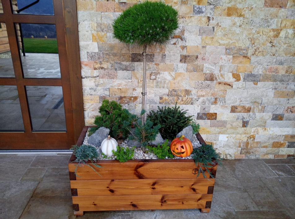 Vyvýšený záhon GROW CUBE thermo borovica M príklad umiestnenia