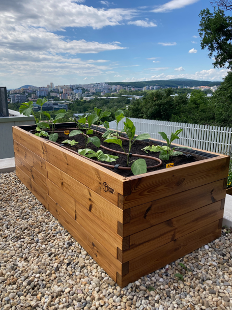 VYVÝŠENÝ ZÁHON GROW CUBE THERMO BOROVICA L