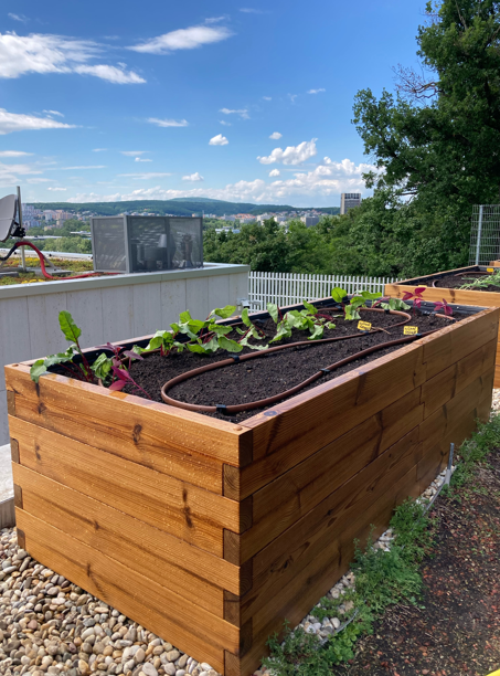 Vyvýšený záhon GROW CUBE thermo borovica L