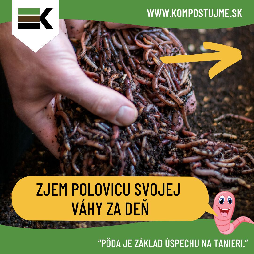 Prečo kompostovať s dážďovkami?