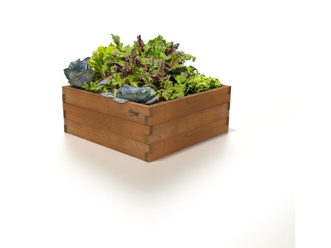 GROW CUBE thermo borovica M