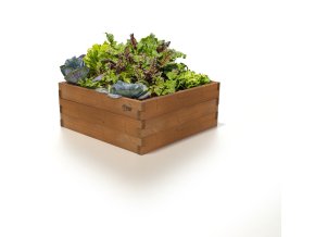 GROW CUBE thermo borovica M