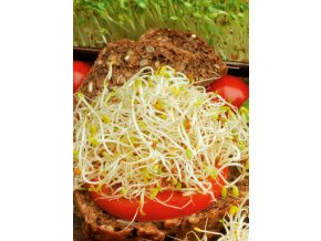 Semená na klíčky Zdravý duet