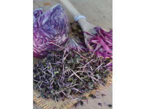 BIO Semená na klíčky - Kapusta červená