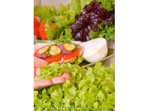 Mikrozelenina Šalát