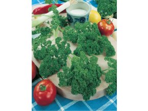 Petržlen kučeravý - vňaťový Astra