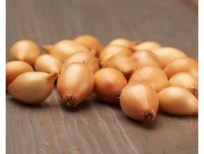 BIO Cibuľa jarná žltá – Bio Sturon 300