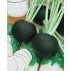 Reďkev siata čierná - Kulatá Čierna