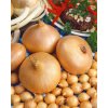 Cibuľa jarná žltá, 500 g – Štuttgartská