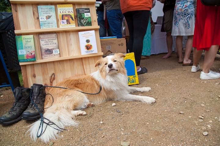 Ostrovský jarmark radosti