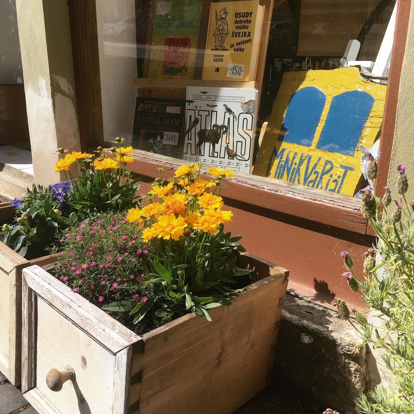 Léto je v plném proudu!