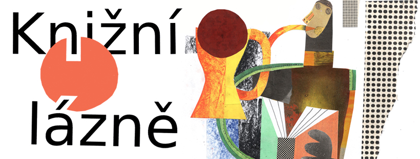 Knižní lázně