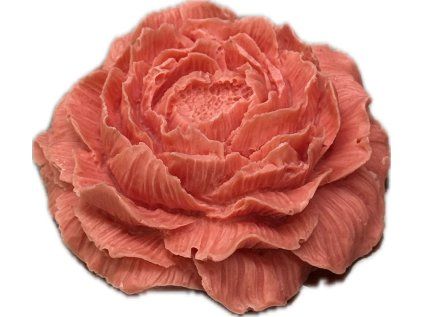 karafiar cervena 1