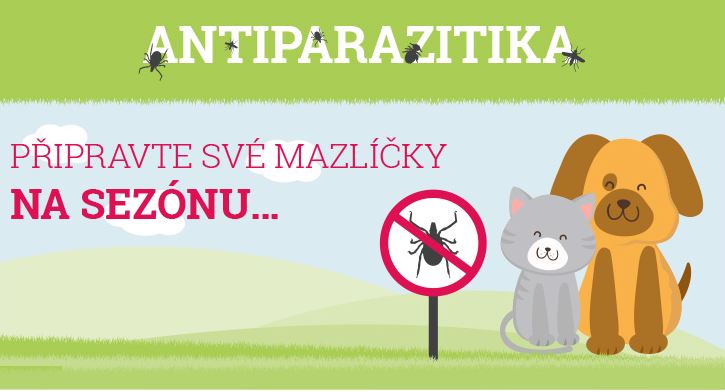 Antiparazitika aneb jak chránit svého miláčka před parazity