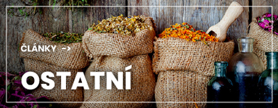 ostatni