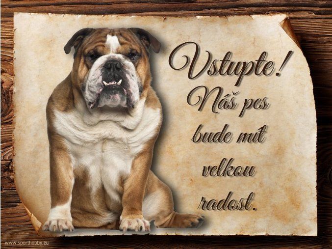 Cedulka Anglický buldog - Vstupte/CP088
