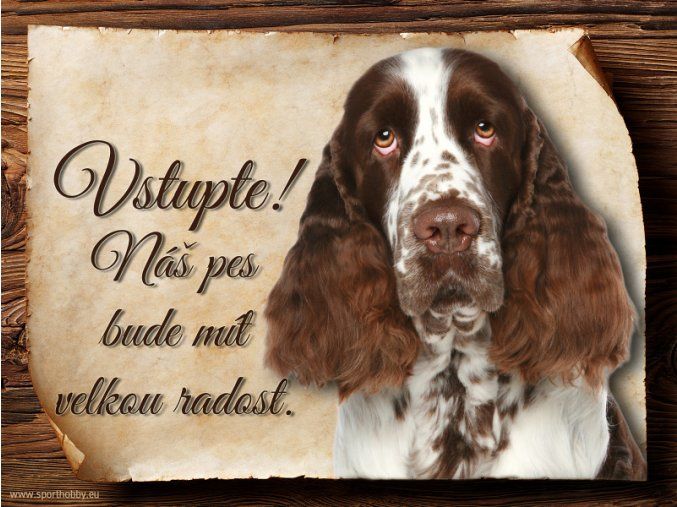 Cedulka Anglický špringršpaněl - Vstupte/CP592