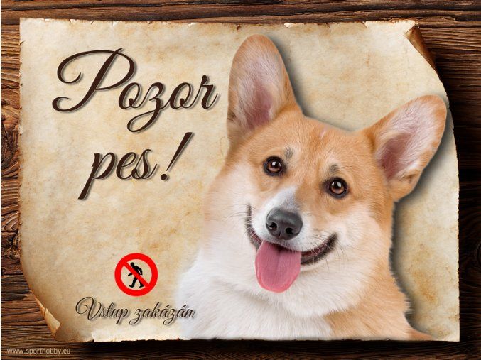 231 Cedulka Welsh Corgi Pembroke