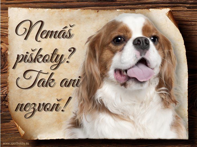 674 Cedulka Kavalír King Charles španěl