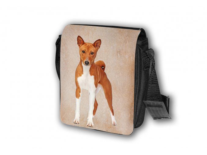 Taška Basenji T013