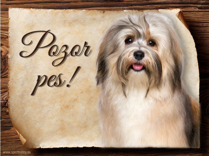 746 Cedulka Havanský psík