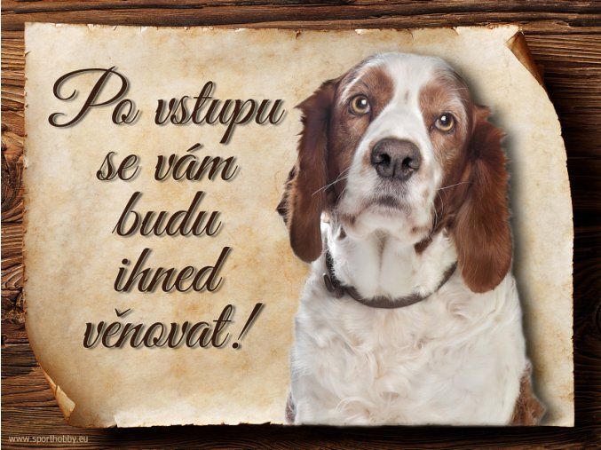 882 Cedulka Velššpringršpaněl