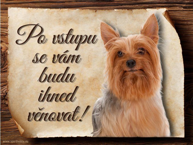 894 Cedulka Australský silky teriér