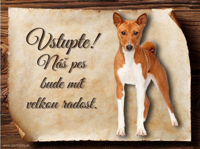 Cedulka Basenji - Vstupte/CP118