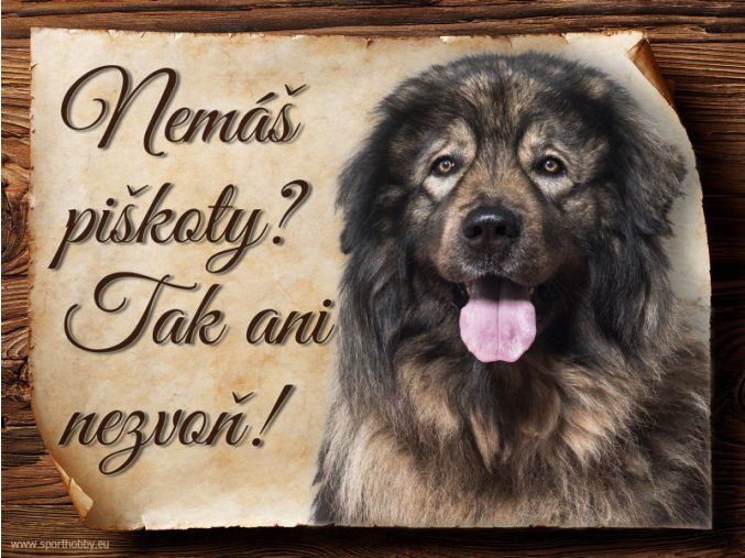 962 Šarplaninský pastevecký pes