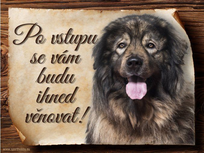 963 Šarplaninský pastevecký pes