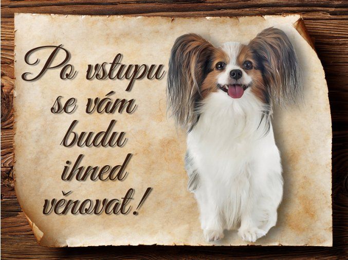 1289 Cedulka Papilon