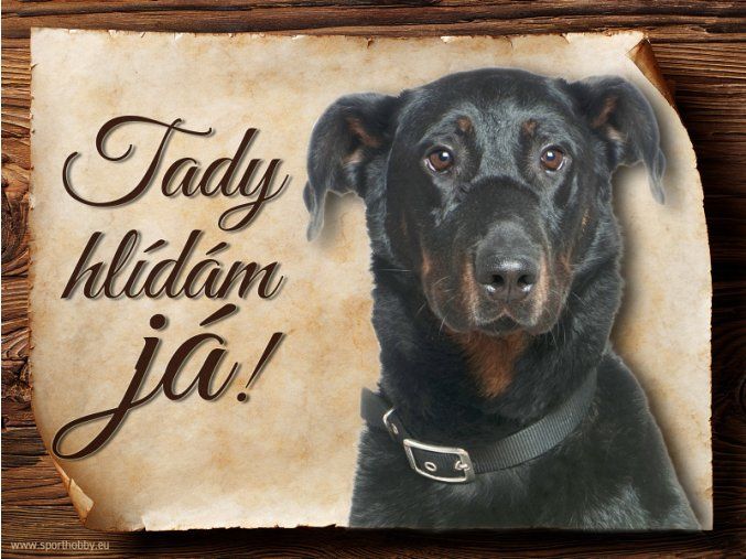 484 Cedulka Beauceron