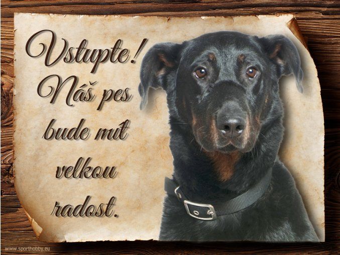 489 Cedulka Beauceron