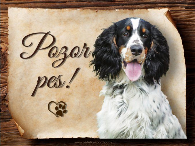 1623 Cedulka Anglický špringršpaněl
