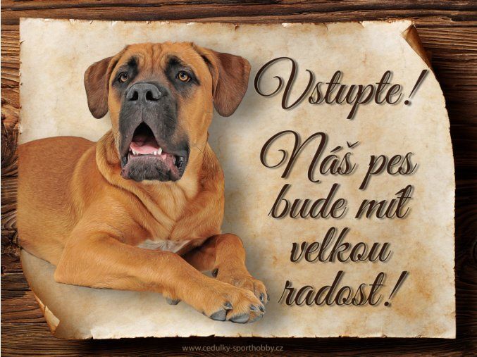 1657 Cedulka Cane corso