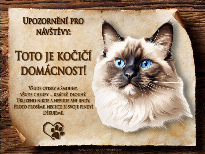 CZ079 Cedulka Ragdoll 4