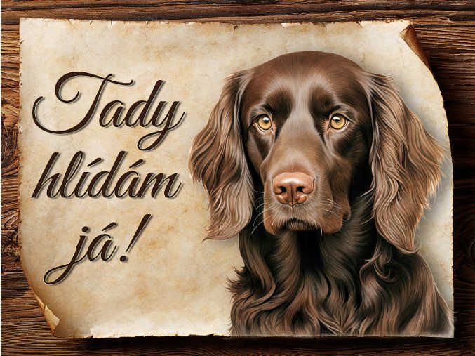 1734 Cedulka Boykin španěl
