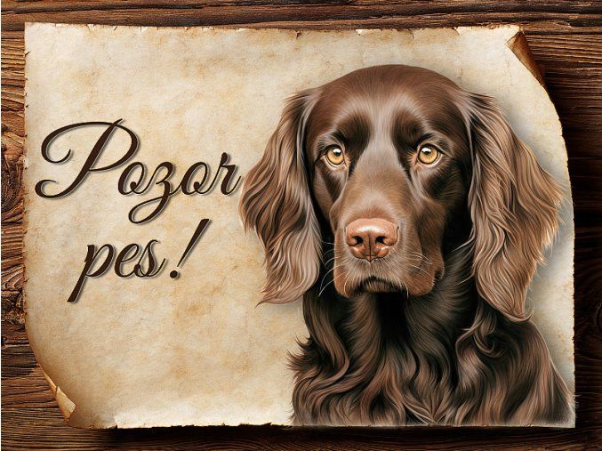 1735 Cedulka Boykin španěl