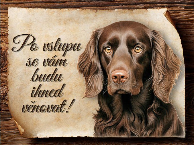 1737 Cedulka Boykin španěl