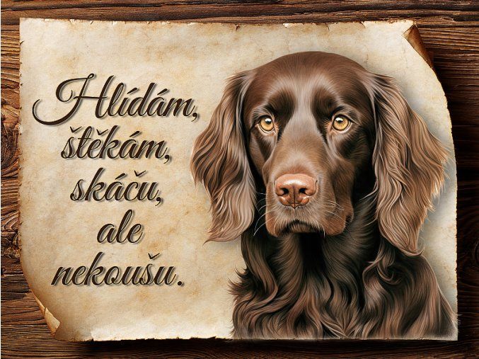 1738 Cedulka Boykin španěl