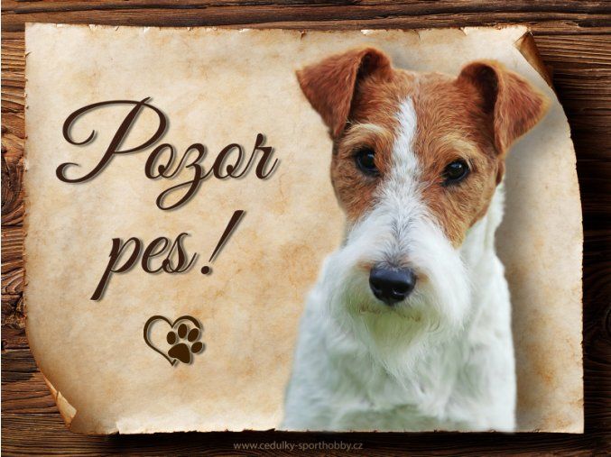 1666 Cedulka Foxterier