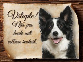 Cedulka Border kolie II - Vstupte/CP178