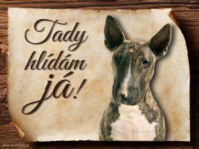 Cedulka Bullterier - Tady hlídám já!/CP343