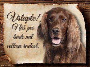 Cedulka Irský setr - Vstupte/CP478