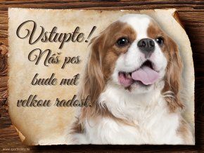 677 Cedulka Kavalír King Charles španěl
